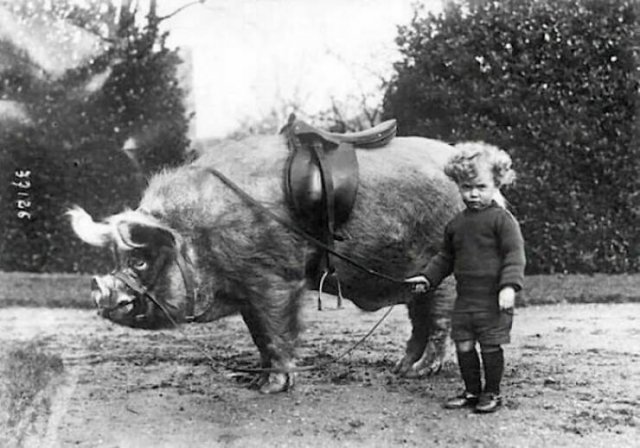 Interesting Historical Photos (25 pics)