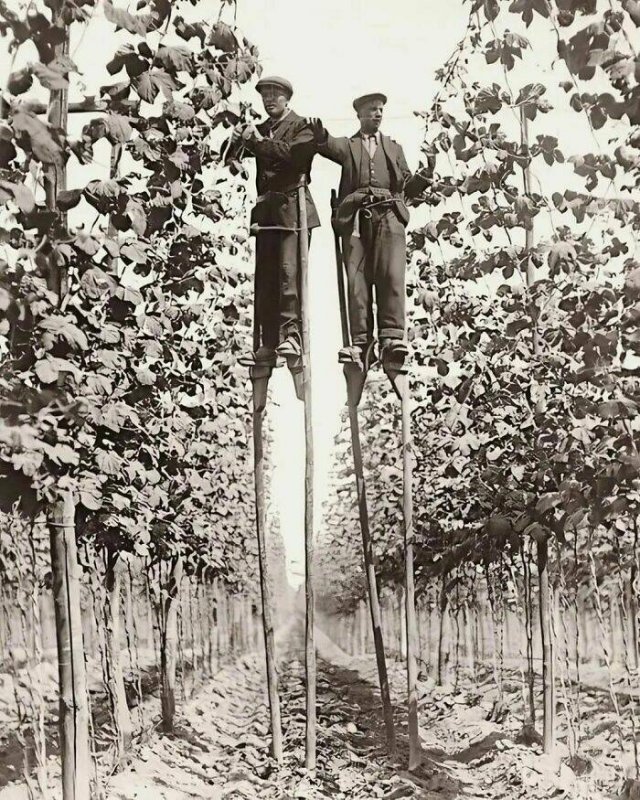 Interesting Historical Photos (25 pics)