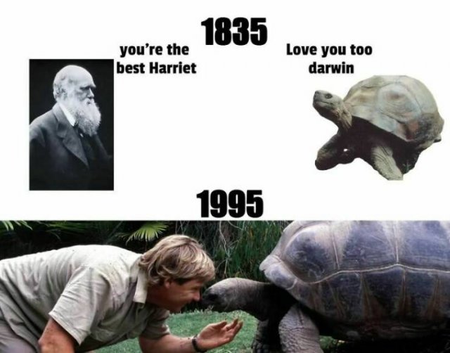 Interesting Historical Photos (25 pics)