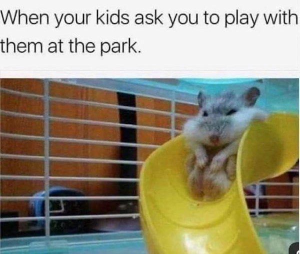 Memes For Parents (24 pics)