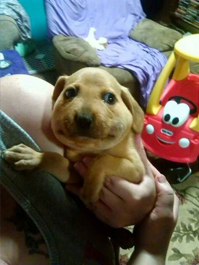 They Had A Bad Day (49 pics)