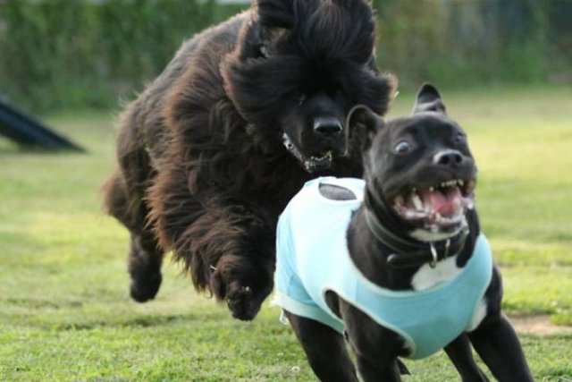 They Had A Bad Day (49 pics)
