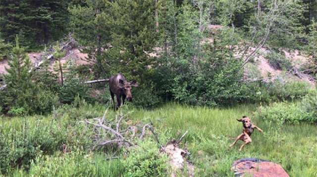 They Had A Bad Day (49 pics)