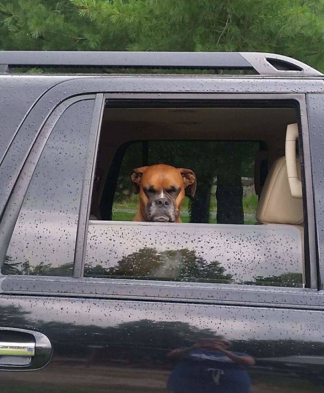 They Had A Bad Day (49 pics)