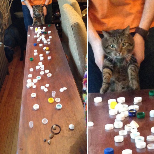 They Had A Bad Day (49 pics)