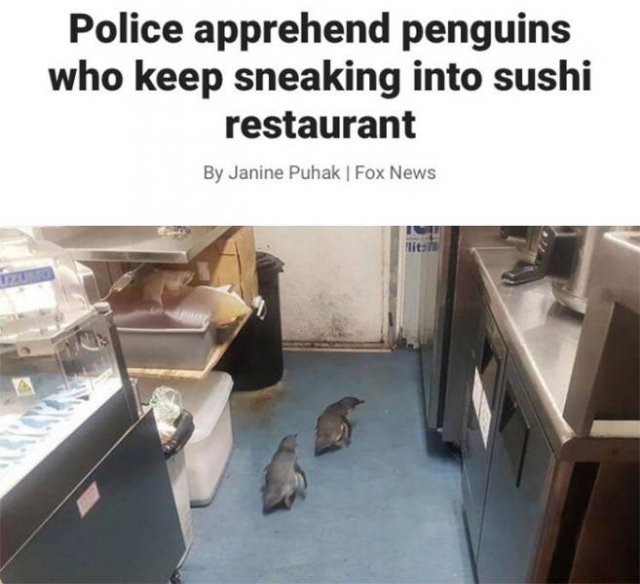 They Had A Bad Day (49 pics)