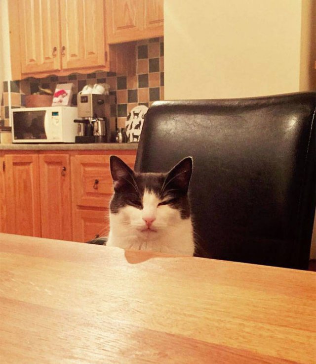 They Had A Bad Day (49 pics)