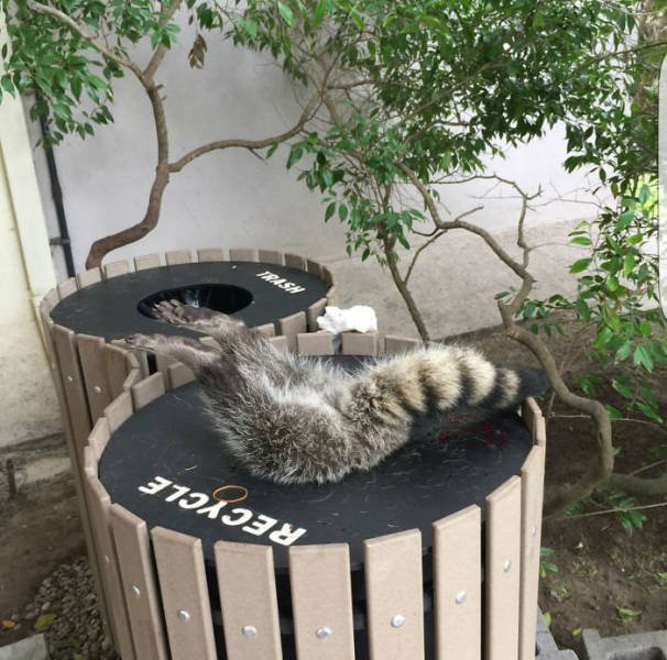 They Had A Bad Day (49 pics)