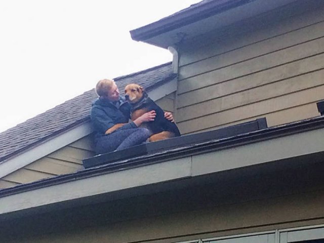 They Had A Bad Day (49 pics)