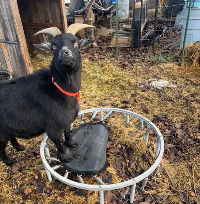 They Had A Bad Day (49 pics)