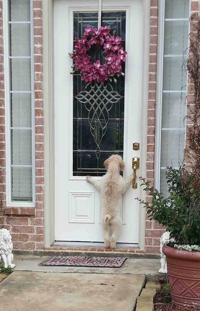 They Had A Bad Day (49 pics)