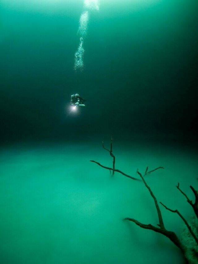 Creepy Finds (25 pics)