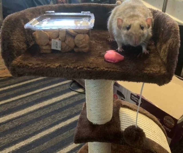 They Love Their Gifts (24 pics)