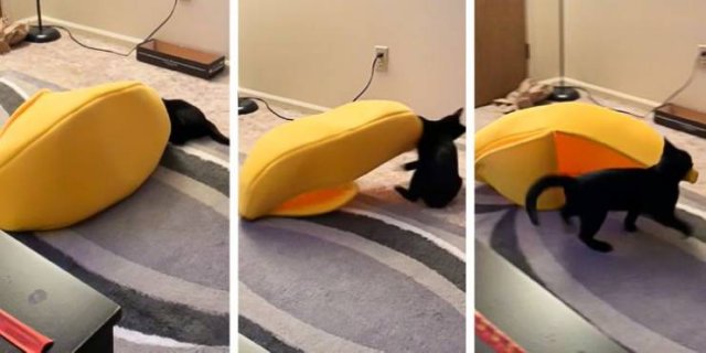 They Love Their Gifts (24 pics)