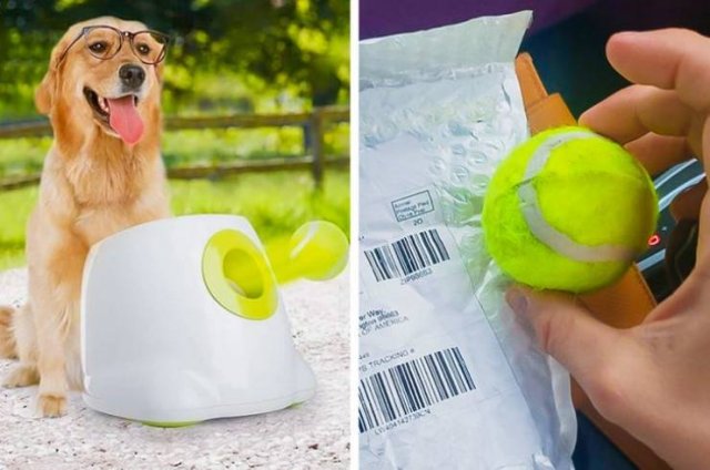 They Love Their Gifts (24 pics)
