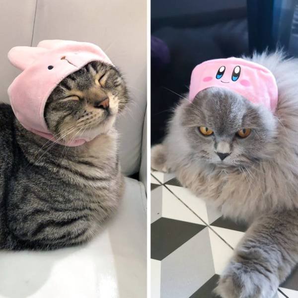 They Love Their Gifts (24 pics)