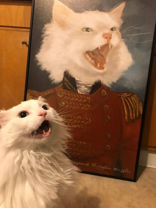 They Love Their Gifts (24 pics)