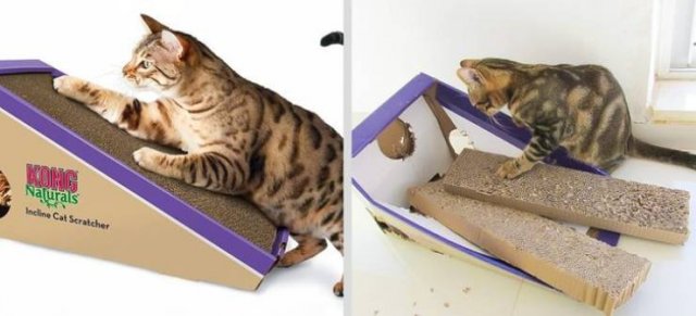 They Love Their Gifts (24 pics)