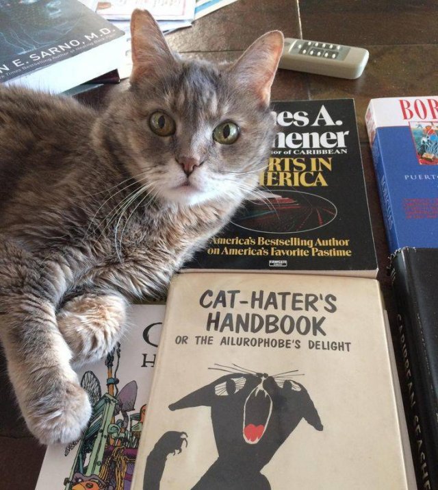 They Love Their Gifts (24 pics)