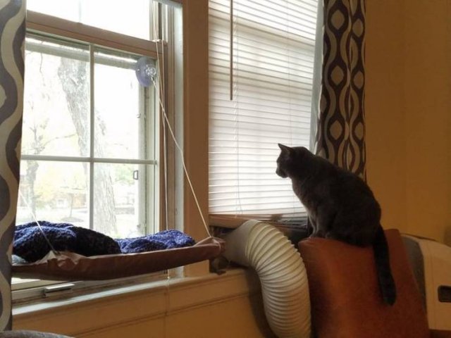 They Love Their Gifts (24 pics)