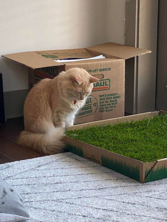 They Love Their Gifts (24 pics)