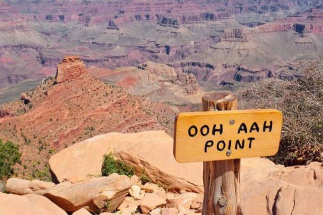 Unusual Things (19 pics)