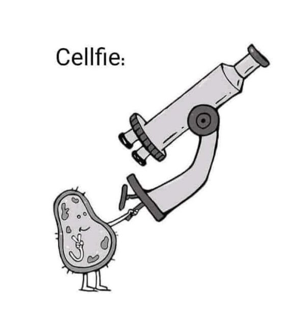 Funny Memes (35 pics)