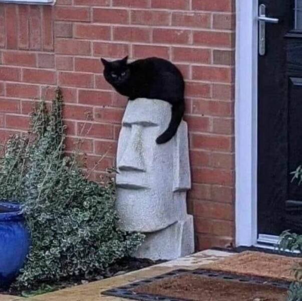 Weird Photos From Around The World (27 pics)