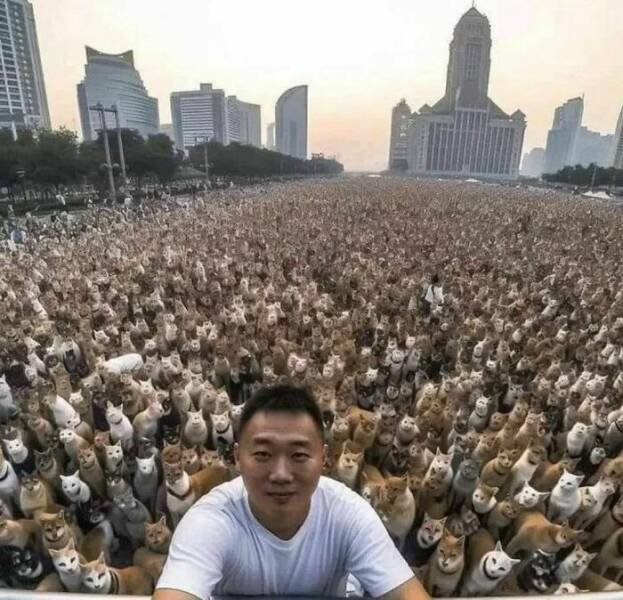 Weird Photos From Around The World (27 pics)