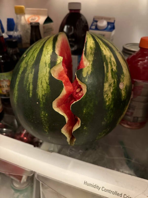 Unusual And Cool Finds (20 pics)
