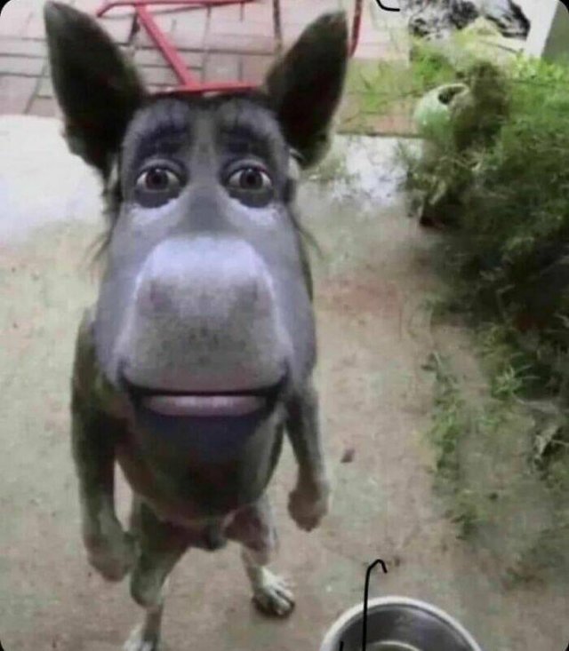 Weird Photos From Around The World (27 pics)