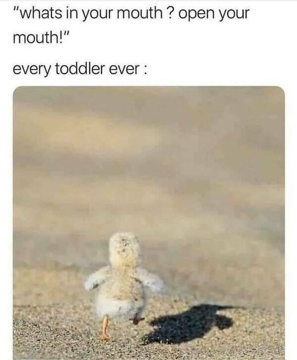 Memes About Parenthood (24 pics)