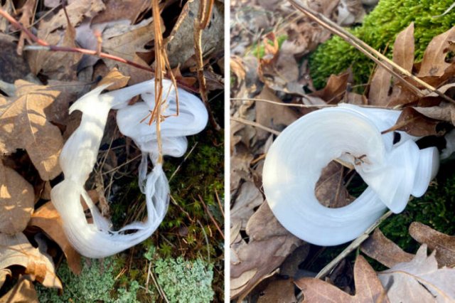 What Are These Things? (23 pics)