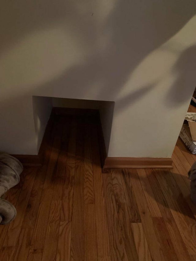 What Are These Things? (23 pics)