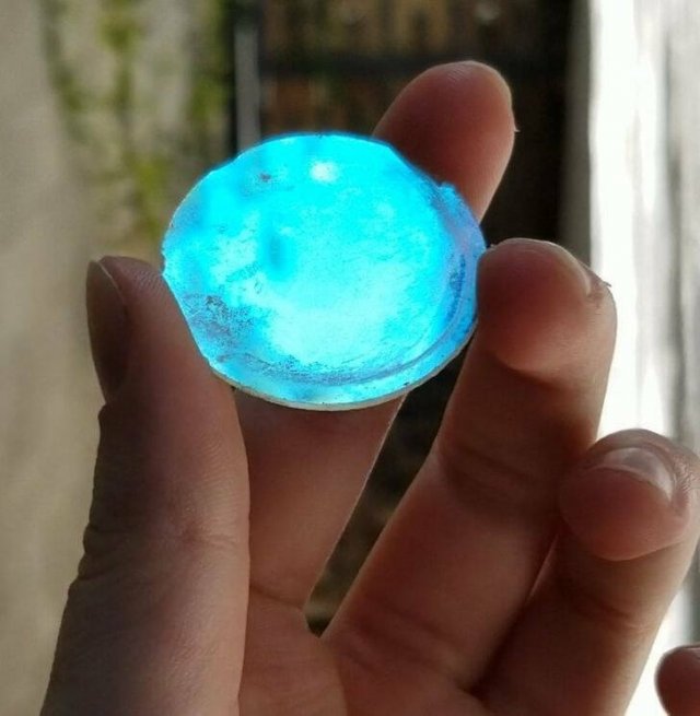 What Are These Things? (23 pics)
