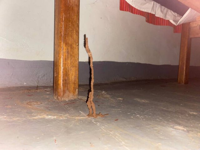 What Are These Things? (23 pics)