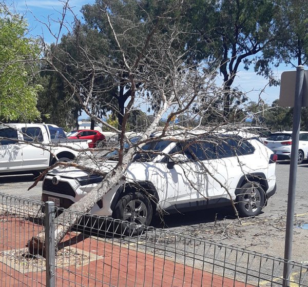 Bad Days Happen (20 pics) Bad Days Happen (20 pics)
