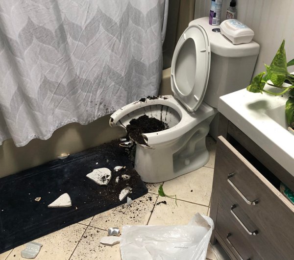 Bad Days Happen (20 pics) Bad Days Happen (20 pics)
