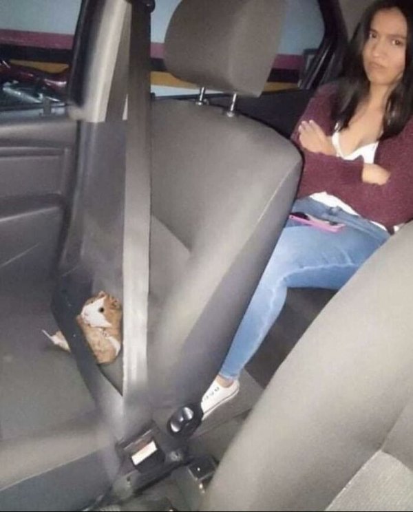 It Is Very Strange (30 pics)