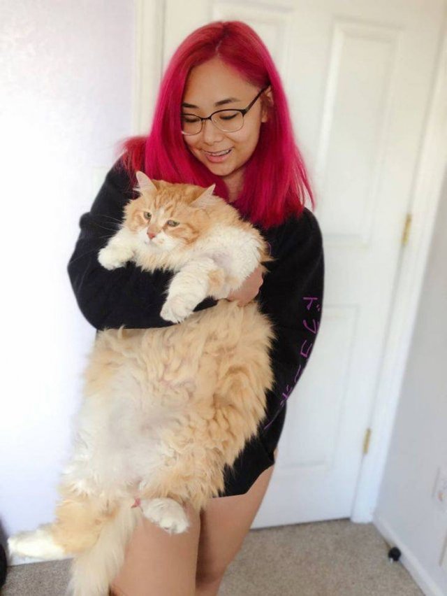 Pets After Adoption (20 pics)