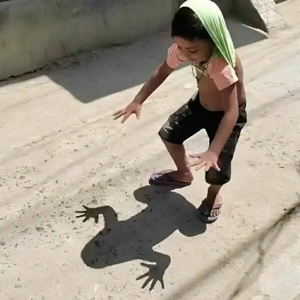 What Is Going On Here? (25 pics)