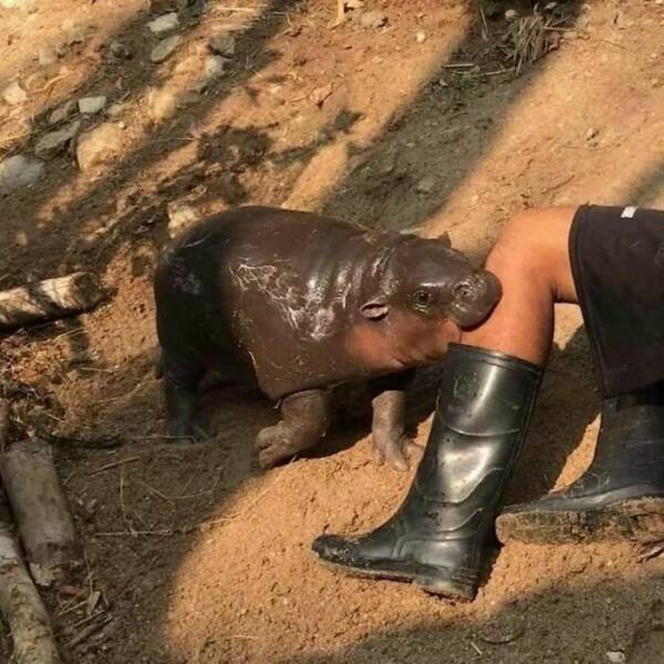 What Is Going On Here? (25 pics)