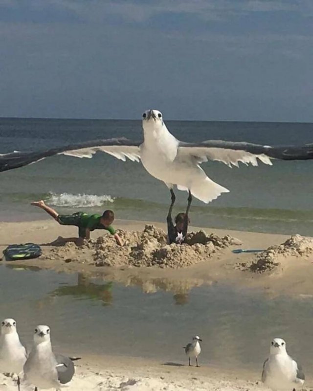 Cool Photos And Finds From Around The World (29 pics)