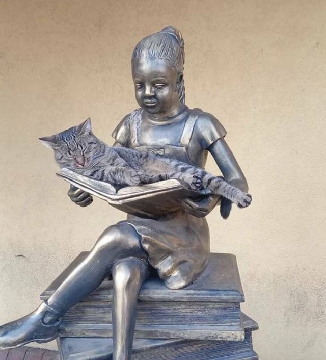 Cool Photos And Finds From Around The World (29 pics)
