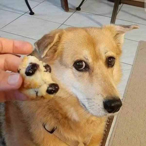 What Is Going On Here? (25 pics)
