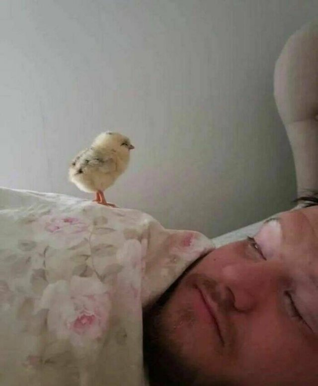 What Is Going On Here? (25 pics)