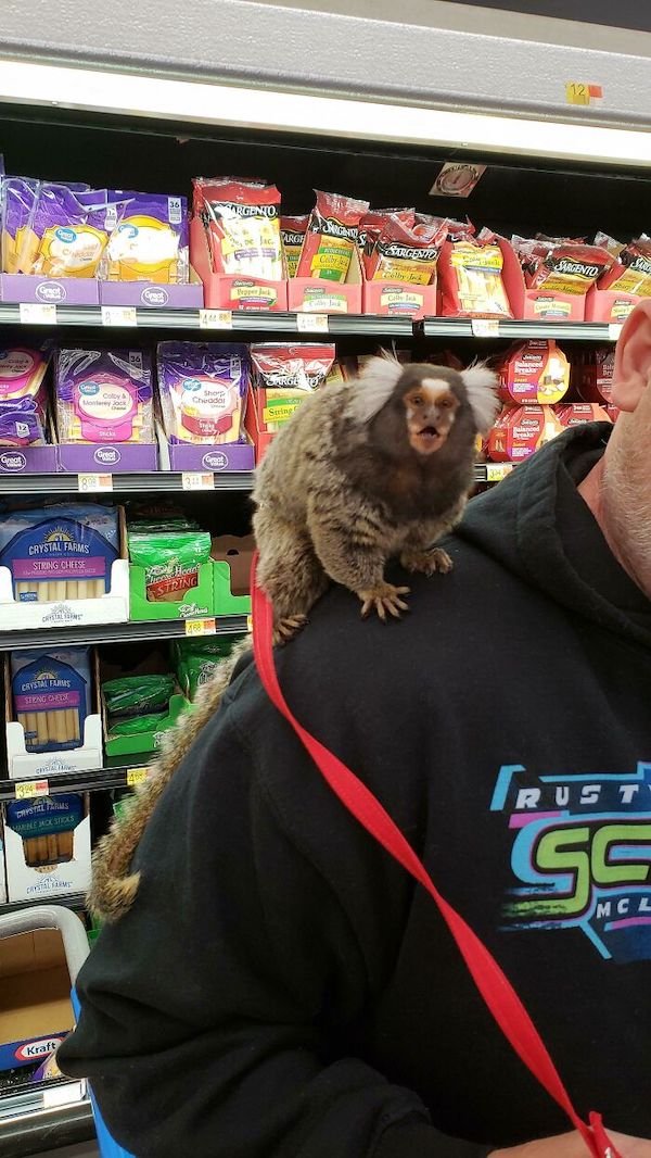 Weird People In Shops (33 pics)
