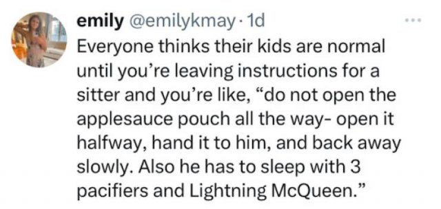 Parenting Memes (24 pics)