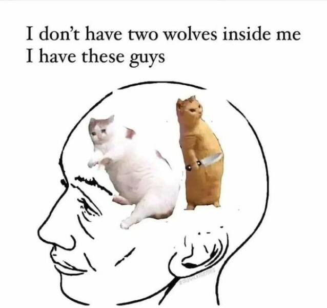 Memes For Introverts (26 pics)