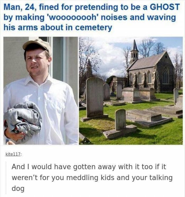 Funny Memes (20 pics)